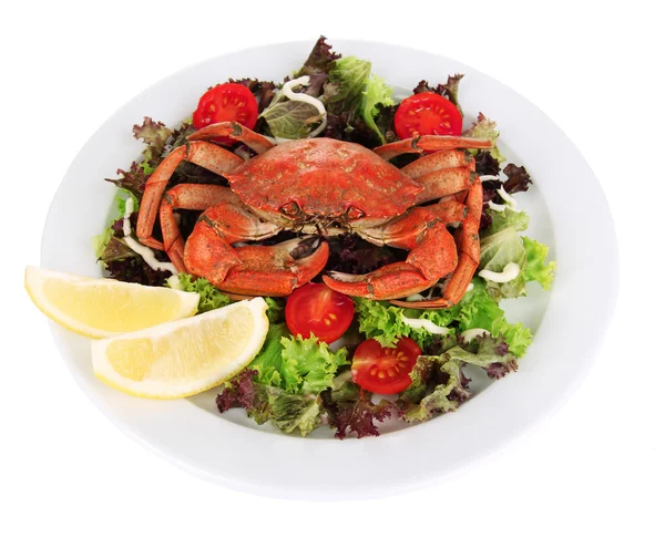 Kokt krabba på vit platta med salladsblad och tomater, isolerad på vit — Stockfoto