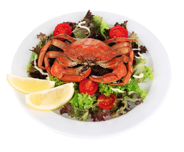 Cangrejo cocido en plato blanco con hojas de ensalada y tomates, aislado en blanco —  Fotos de Stock