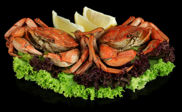 Вареные крабы, изолированные на черном
