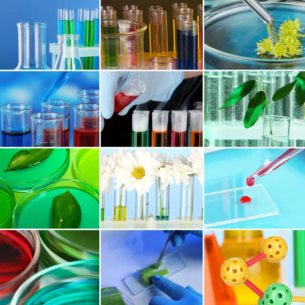 Collage de laboratorio — Foto de Stock