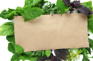 eski kahverengi kağıt taze otlar ile