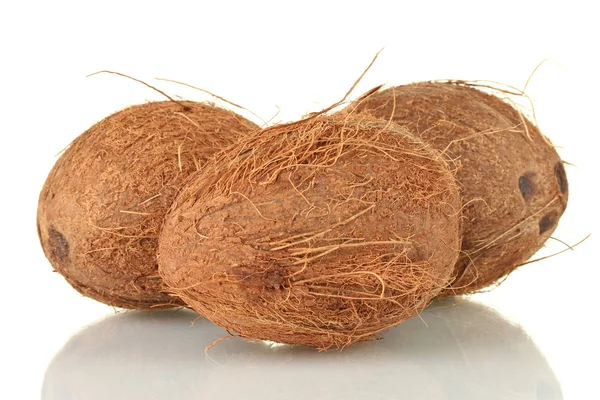 Cocos aislados en blanco — Foto de Stock