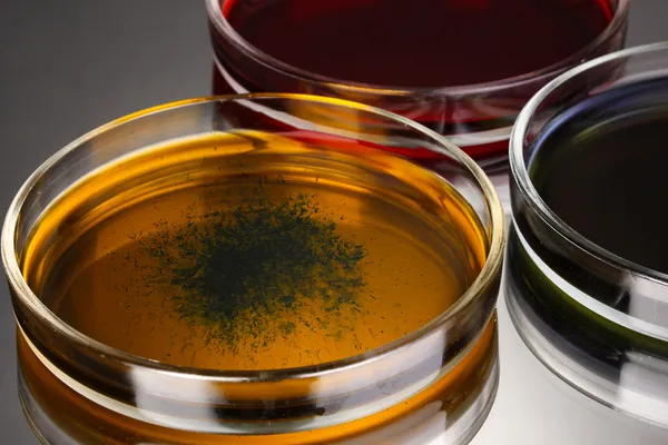 Petri yemeklerinde gri arka plan üzerinde renkli sıvı — Stok fotoğraf