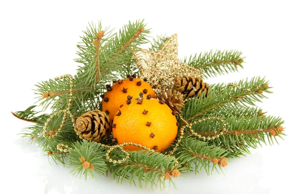 Kerstmis samenstelling met sinaasappels en fir tree, geïsoleerd op wit — Stockfoto