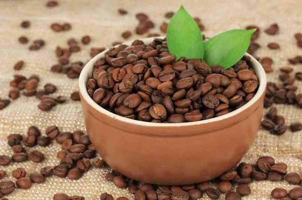 Kávová zrna v misce na tabulka detail — Stock fotografie