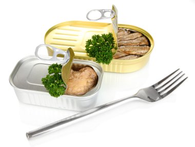 teneke kutu, üzerinde beyaz izole açın