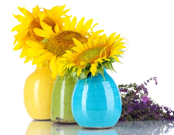 Beautiful sunflowers in color vases and wild flowers, isolated on white — Stock Photo, Image