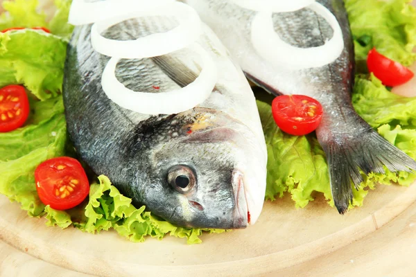 Dorado fish close-up — Stock Photo, Image