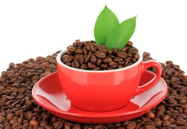 kahve çekirdekleri fincan beyaz zemin üzerine