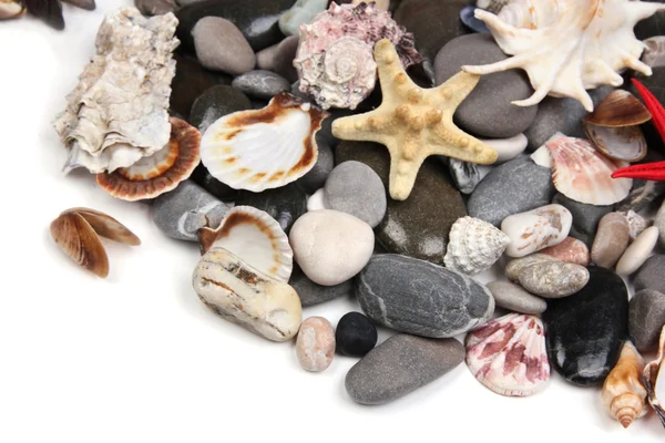Close up de pedras marinhas e conchas — Fotografia de Stock