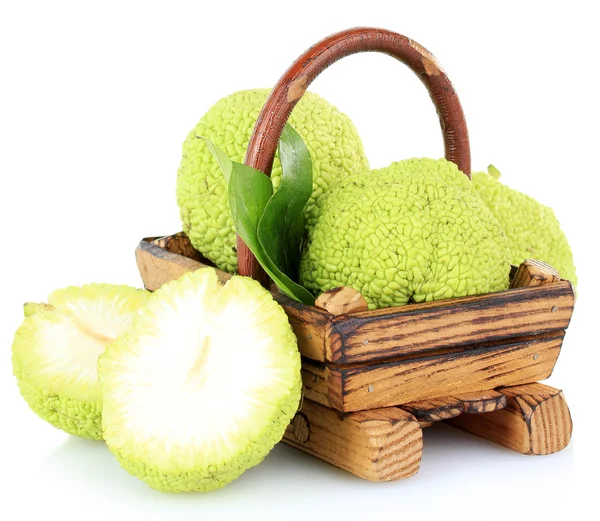 Osage orange frukter (maclura pomifera) i korg, isolerad på vit — Stockfoto