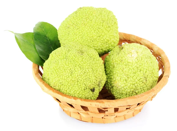 Frutos Laranja Osage (Maclura pomifera) em cesta, isolados sobre branco — Fotografia de Stock