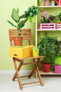 Tencere Oda çok güzel çiçekler