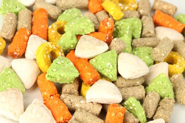 kuru köpek yakın kadar davranır.