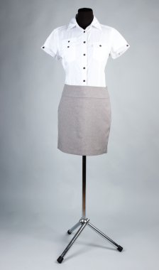 güzel bluz ve gri arka plan üzerinde manken üzerinde gri etek