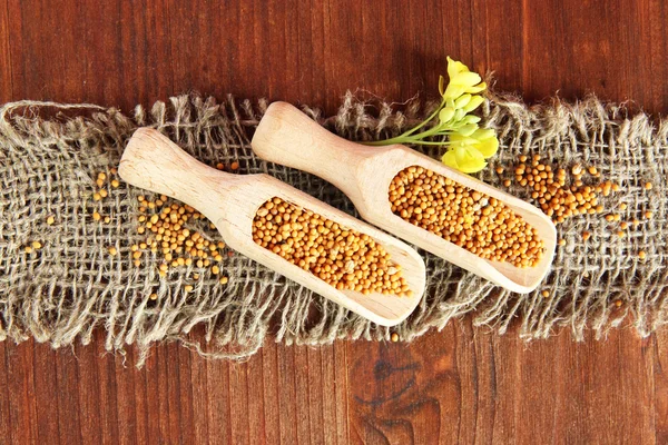 Mustard seeds with mustard flower on wooden background — Stock Photo, Image