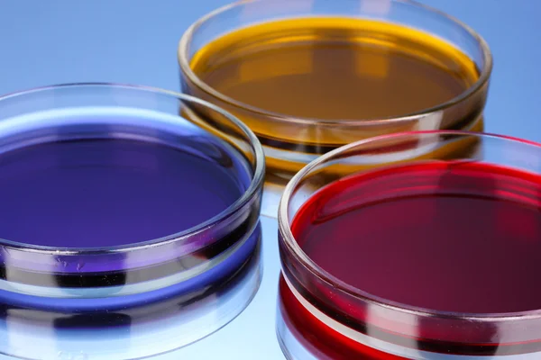 Color liquid in petri dishes on blue background — Stock Photo, Image