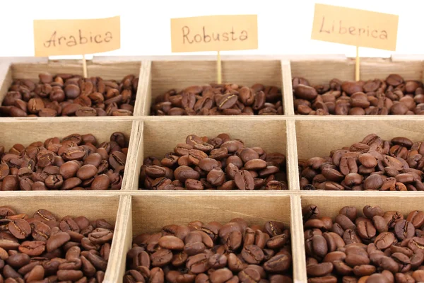 Coffee beans in wooden box close-up — Stock Photo, Image