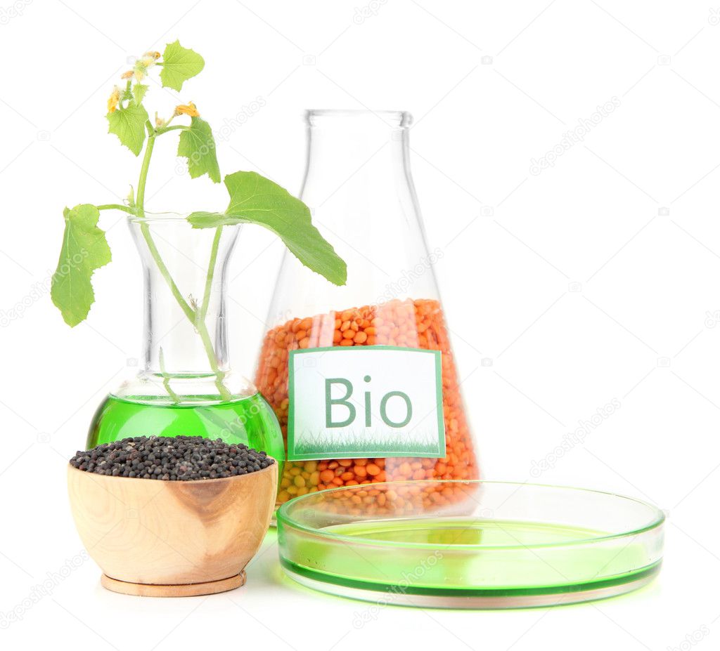 Conceptual photo of bio fuel from lentil. Isolated on white
