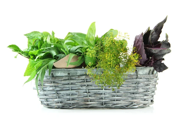 Fresh herbs in basket, isolated on white — Stock Photo, Image