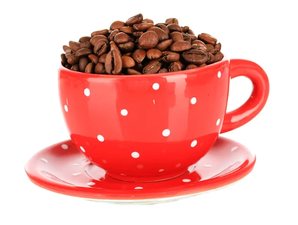 Koffie bonen in cup geïsoleerd op wit — Stockfoto