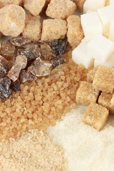 Different types of sugar close-up — Stock Photo, Image