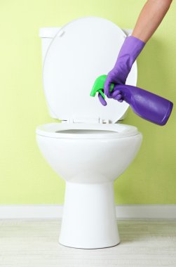 kadın el ile bir banyo klozet Temizleme sprey şişe