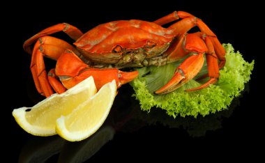 Boiled crabs isolated on black clipart