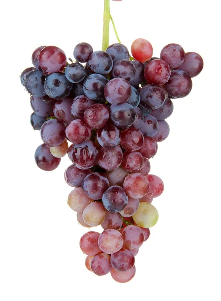 Uva fresca, isolata su bianco — Foto Stock
