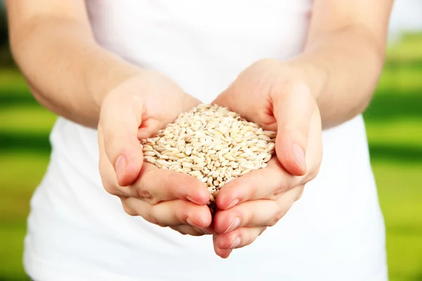 Wheat grain in female hands on natural background — Stock Photo, Image