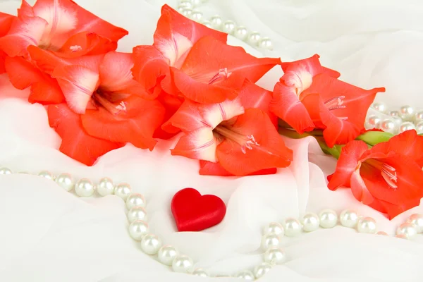 화이트 패브릭 배경에서 아름 다운 디올 꽃 — 스톡 사진