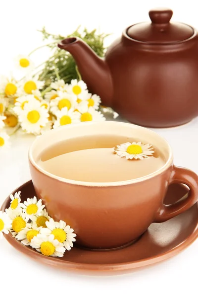 Cup of herbal tea with camomiles close up — Stock Photo, Image