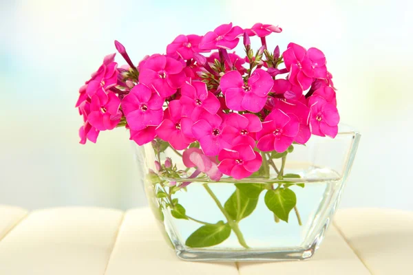 Mooi boeket van Dr. phlox in kom op tafel op lichte achtergrond — Stockfoto