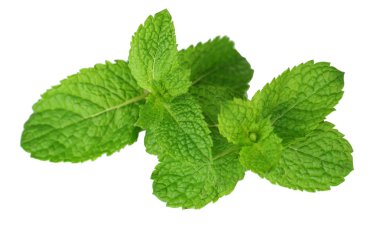 Beyazda izole edilmiş nane