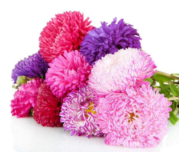 Яркие пасхальные цветы, изолированные на белом
