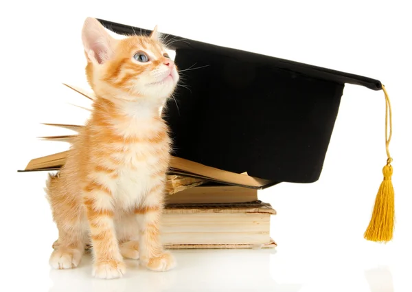 Schattige kleine rode kitten en boeken geïsoleerd op wit — Stockfoto