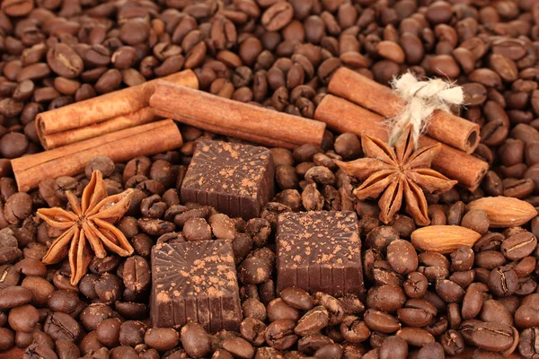 Doces de chocolate com cacau, especiarias e nozes, sobre fundo de grãos de café — Fotografia de Stock