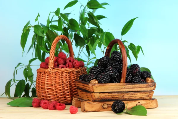 Ripe raspberries and blackberries in basket on wooden table on natural background — Stock Photo, Image