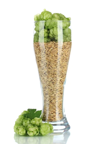 Glass of fresh green hops and barley, isolated on white — Stock Photo, Image