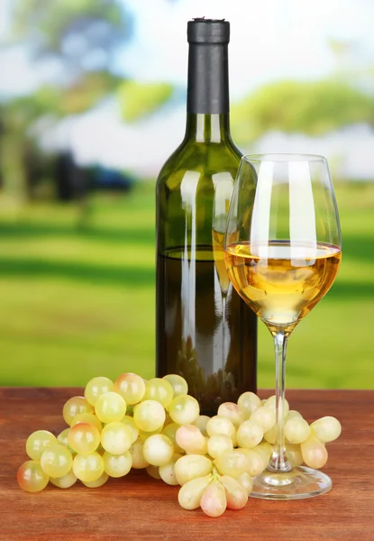 Uvas maduras, botella y copa de vino, sobre fondo brillante — Foto de Stock