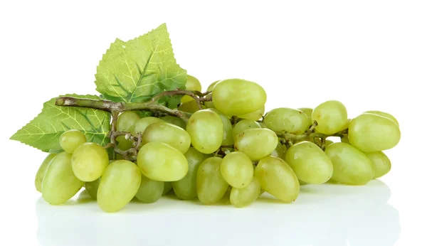 Свежий виноград, изолированный на белом — стоковое фото