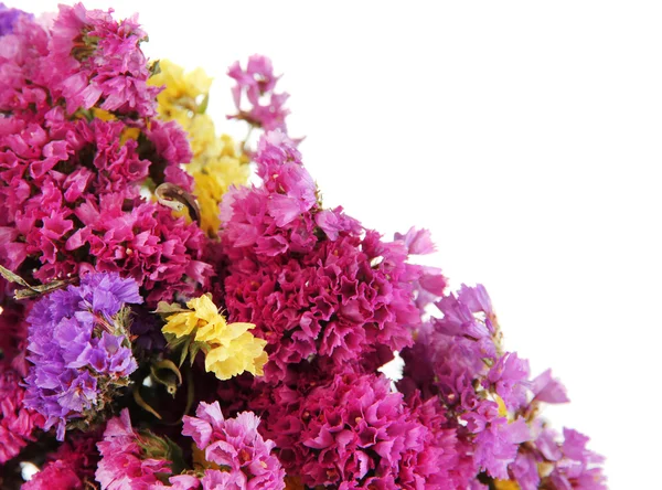 Bellissimi fiori estivi isolati su bianco — Foto Stock