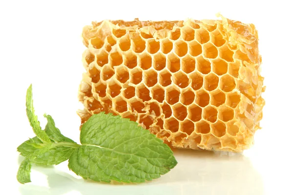 Favo de mel doce com hortelã isolada em branco — Fotografia de Stock