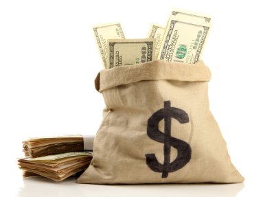 Parayı çantaya beyaz izole