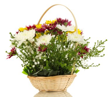 Güzel çiçekler beyaz üzerinde izole.