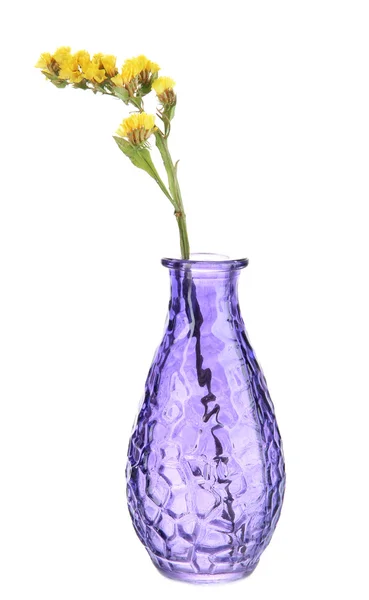 Schöne Sommerblumen in der Vase isoliert auf weiß — Stockfoto