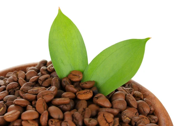 Coffee beans in bowl isolated on white — Stock Photo, Image