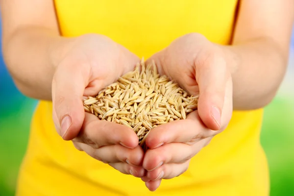 自然な背景の女性の手の小麦 — ストック写真