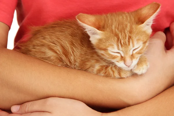 Sömnig liten röd kattunge i händerna på nära håll — Stockfoto