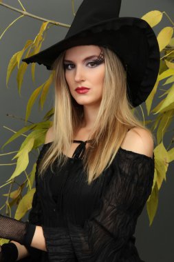 gri arka plan üzerinde Halloween cadı